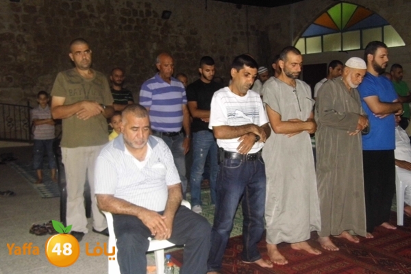 kaber trawe7 718 (1).JPG